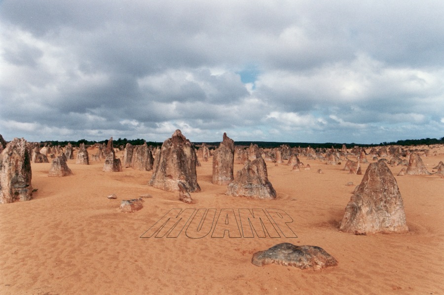 The Pinnacles Desert 1990